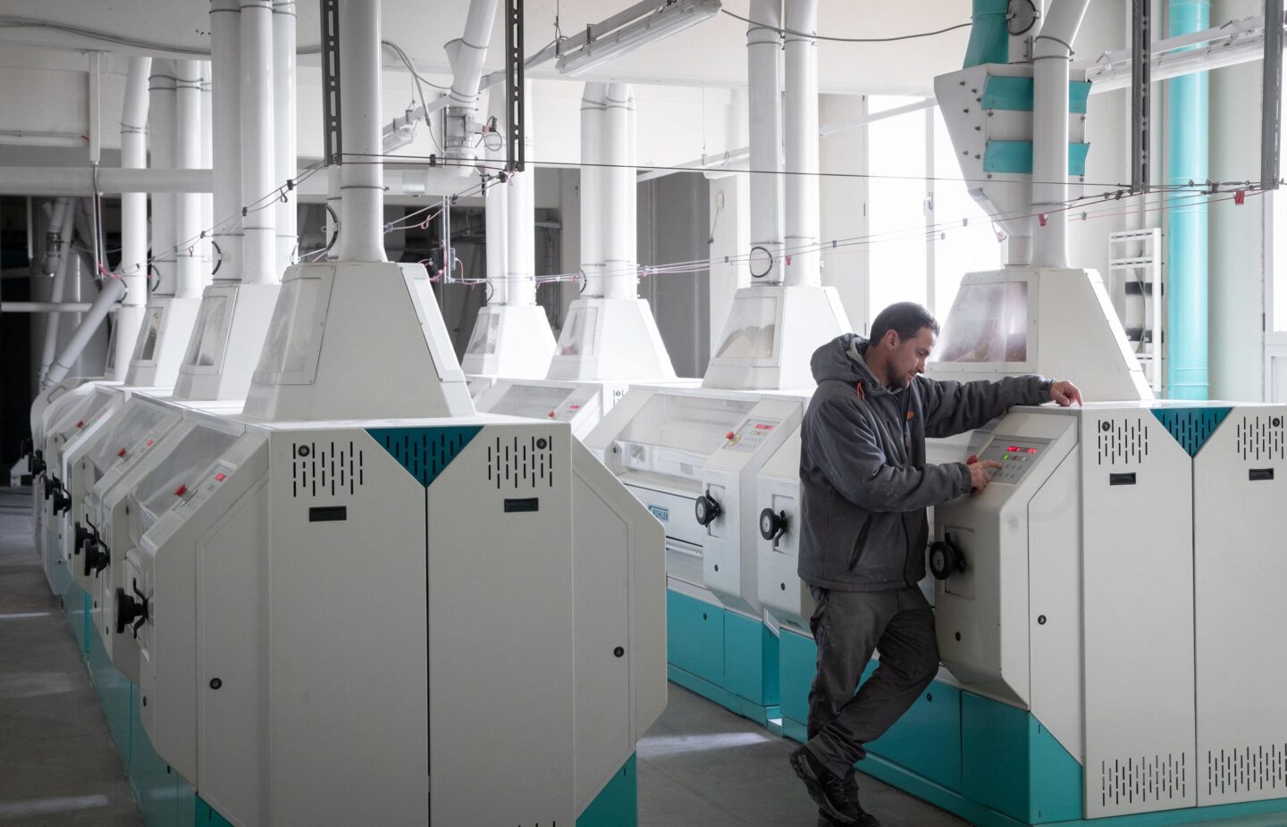 Alberto nello stabilimento di Molino Denti