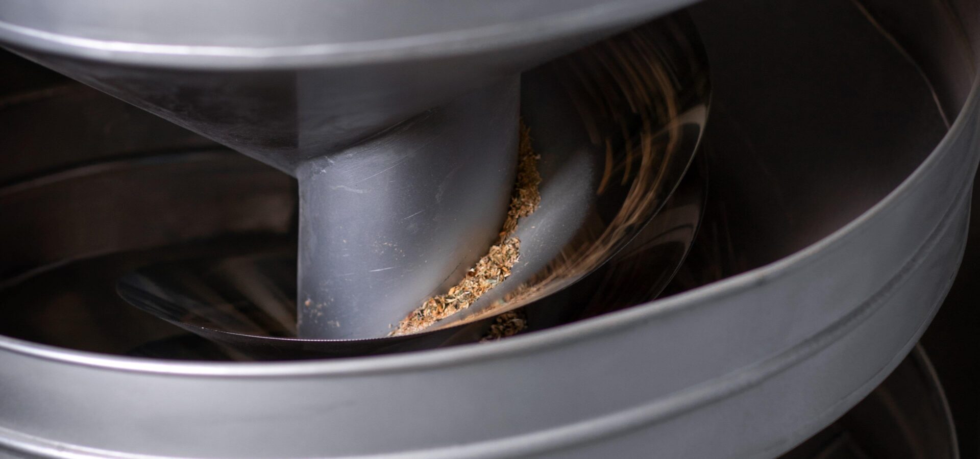 Il grano migliore di Molino Denti